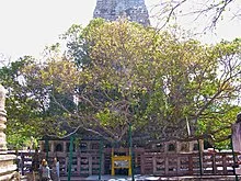 Puti Island
