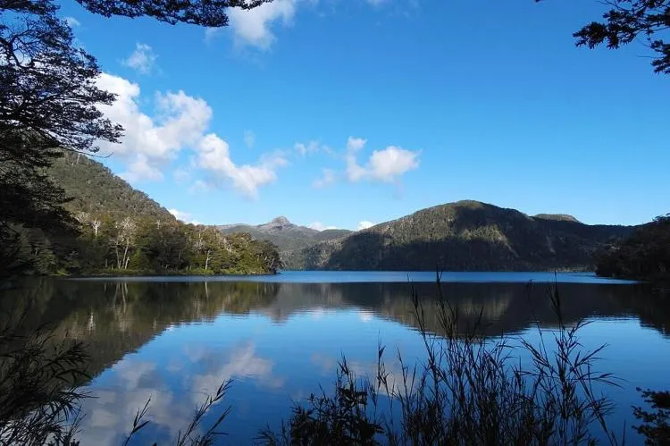 Puyehue National Park