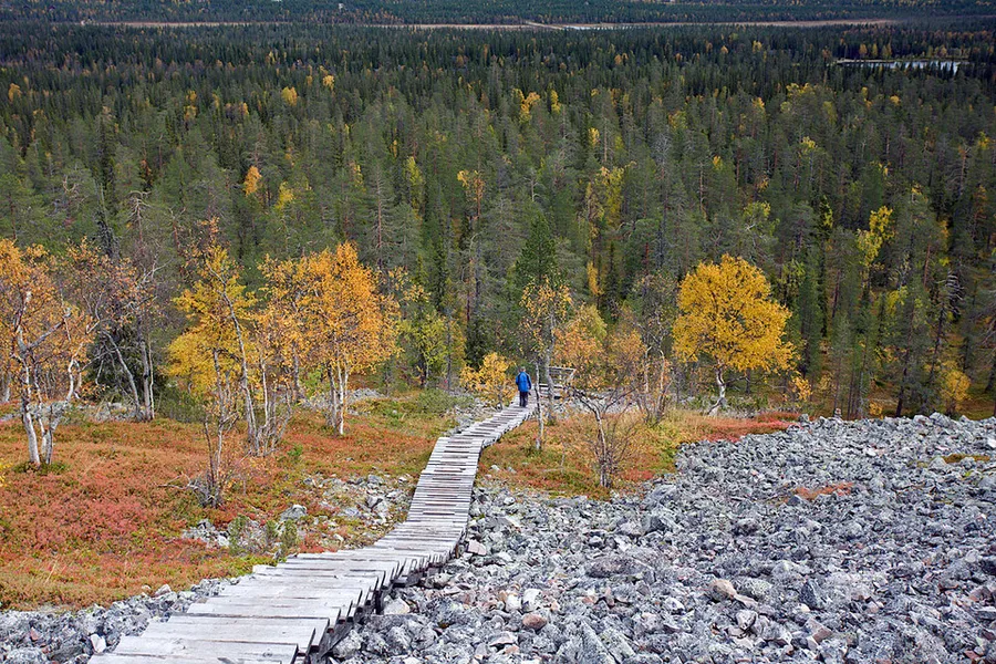 Pyhä-Luosto National Park