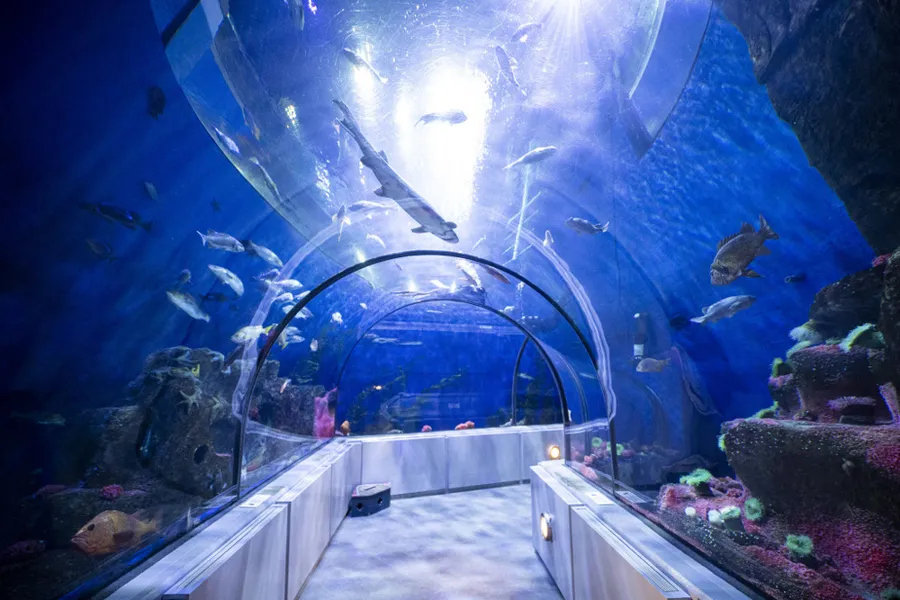 Quebec Aquarium