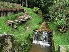 Quebrada La Vieja
