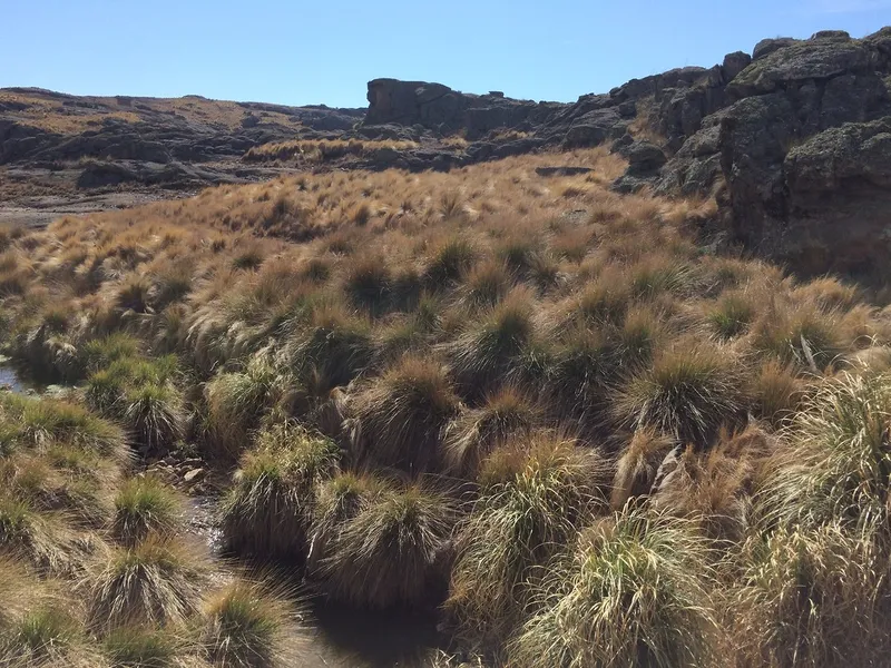 Quebrada del Condorito National Park (Nearby)