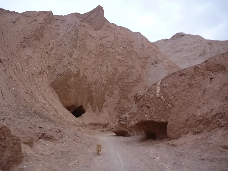 Quebrada del Diablo (Devil's Gorge)