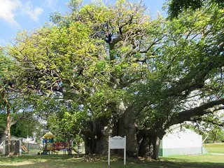 Queen's Park