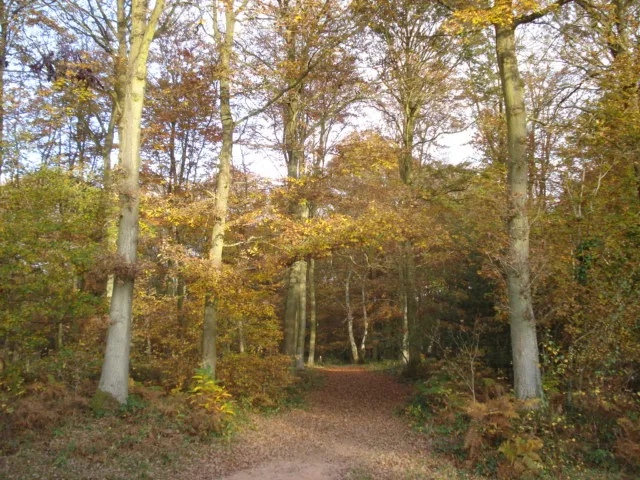 Queenswood Country Park