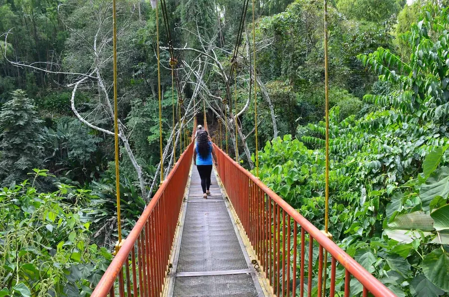 Quindío Botanical Garden