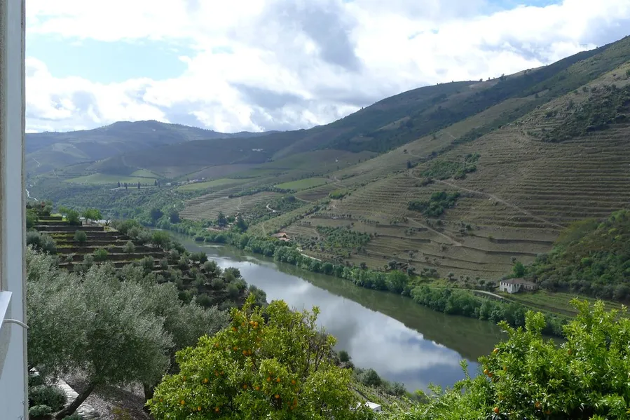 Quinta da Romaneira
