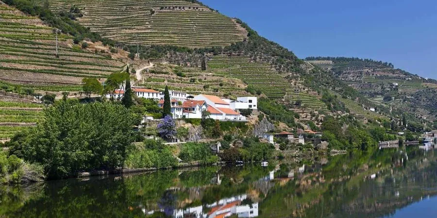 Quinta de la Rosa