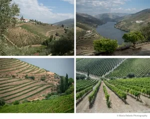 Quinta do Crasto
