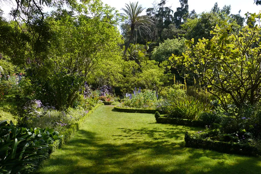Quinta do Palheiro Ferreiro