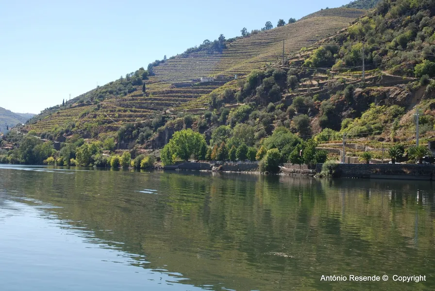Quinta do Vallado