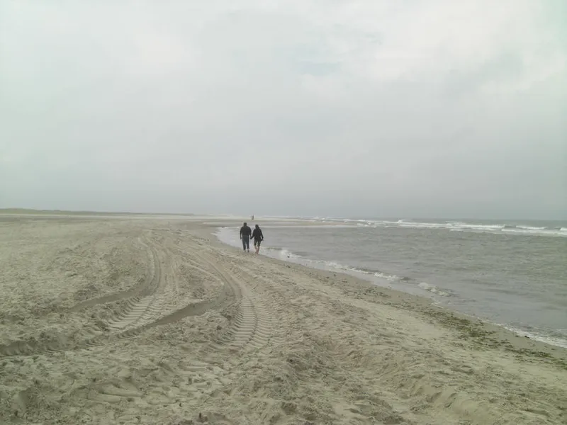Råbjerg Mile