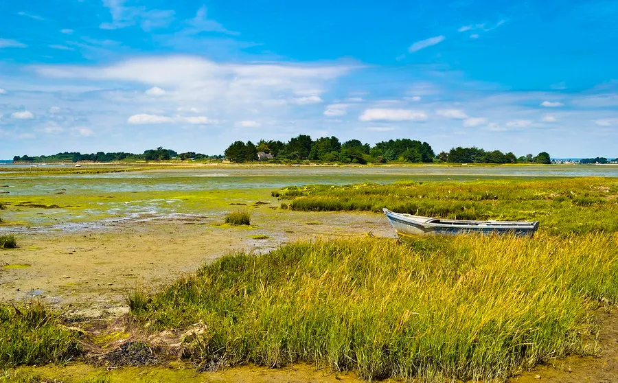 Réserve Naturelle Marais de Séné