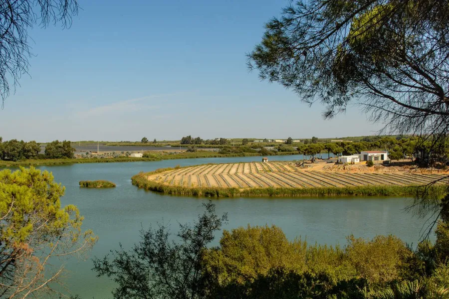 Ría de Huelva