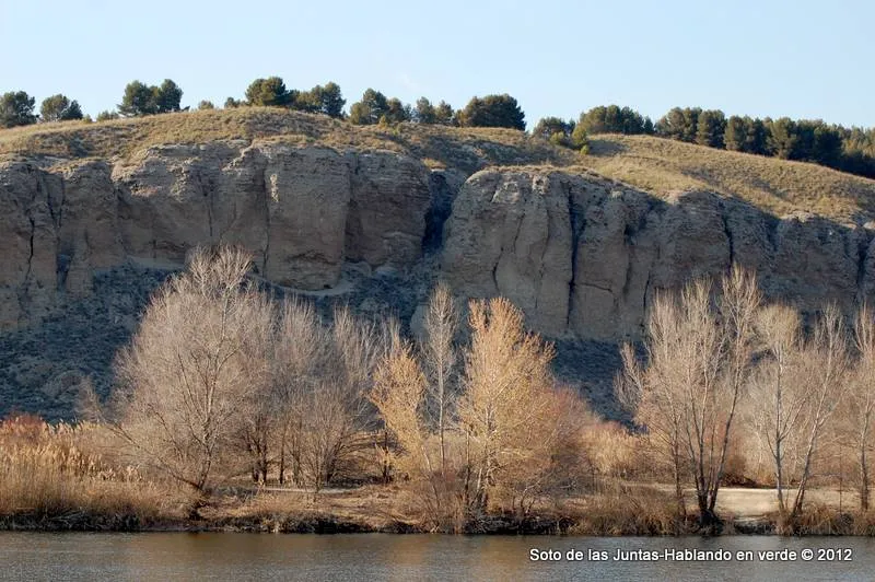 Río Las Juntas