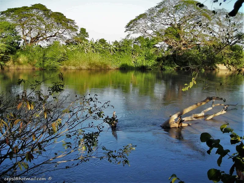 Río Lobaterita