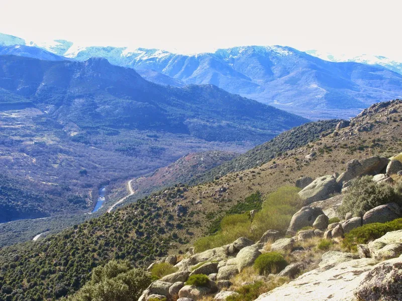Río Pregonero