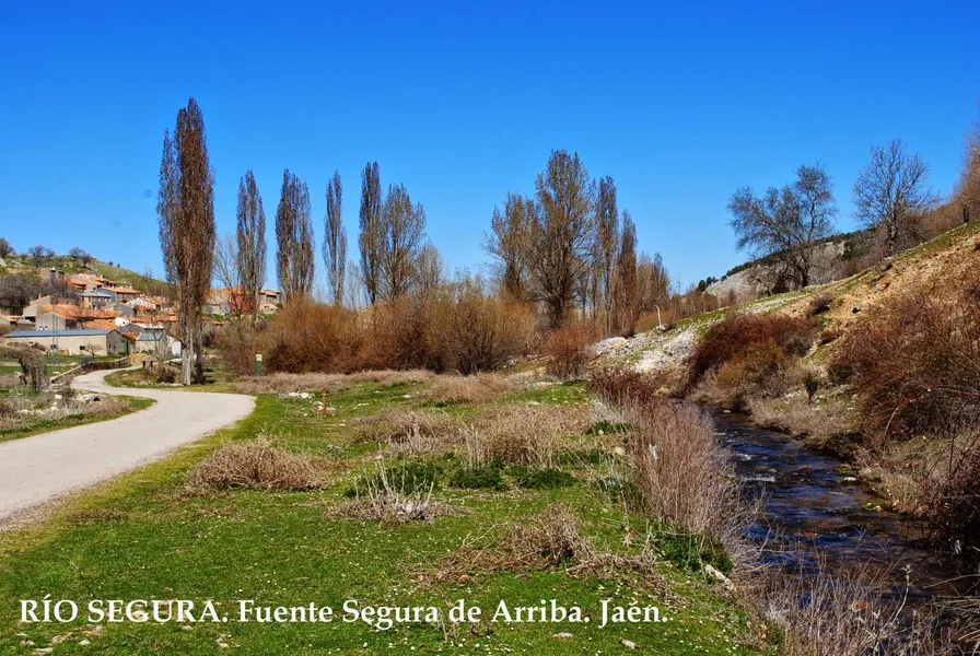 Río Segura