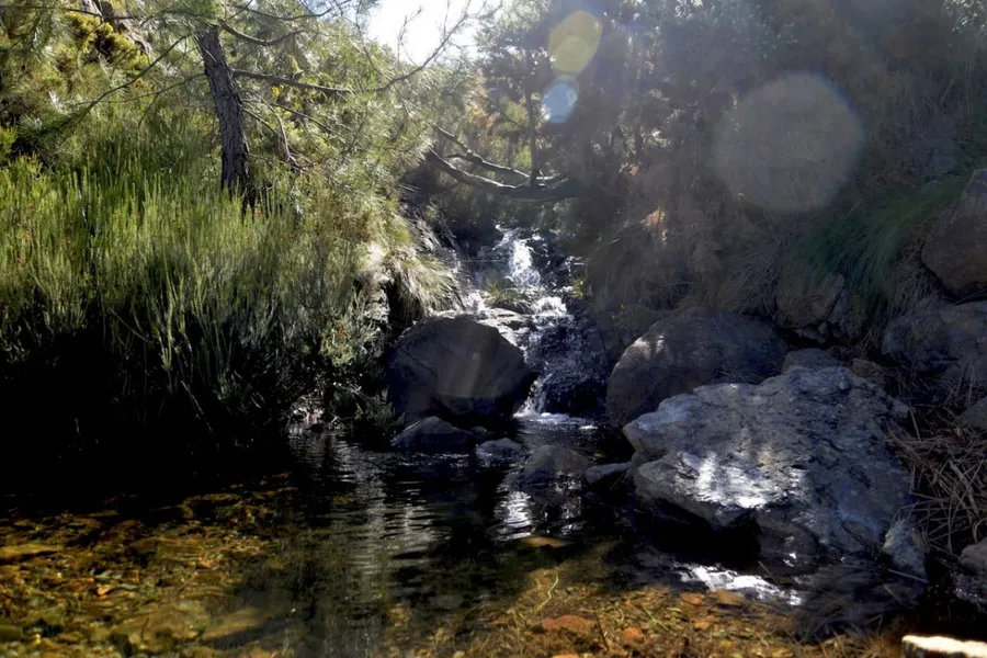 Río Verde (Istán)
