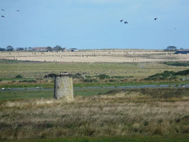 RSPB Loch of Strathbeg