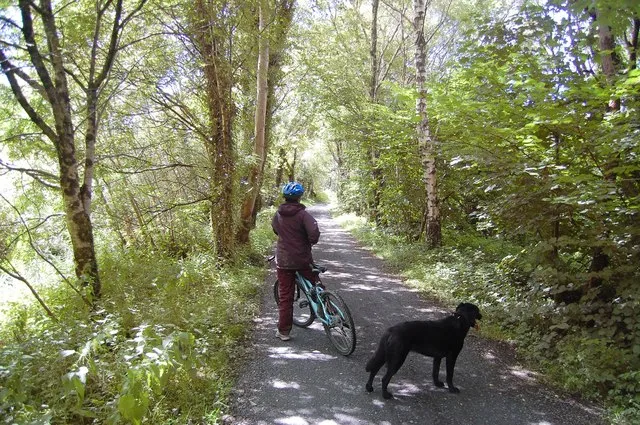 RSPB Mawddach Valley