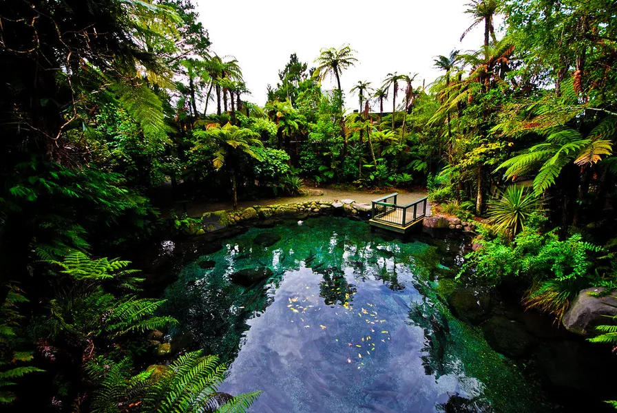 Rainbow Springs Nature Park