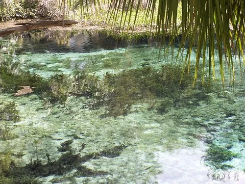 Rainbow Springs State Park