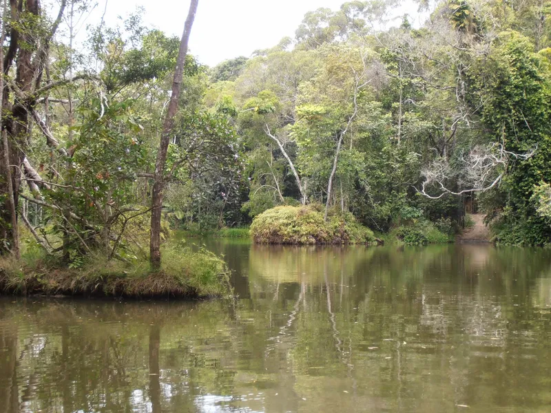 Rainforestation Nature Park