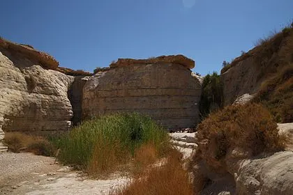 Ramat Negev Winery