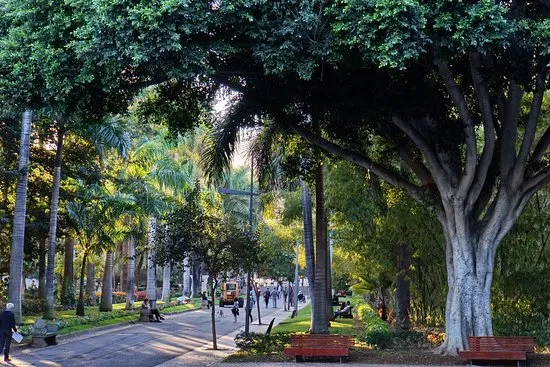Rambla de Santa Cruz