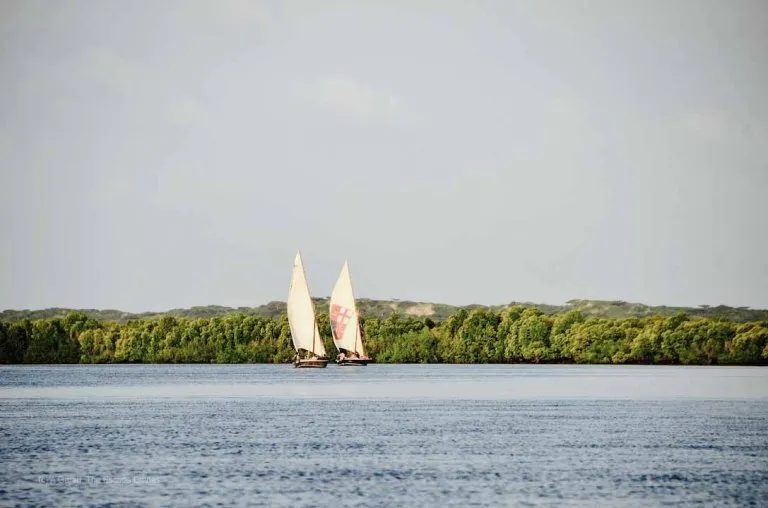 Ramisi River
