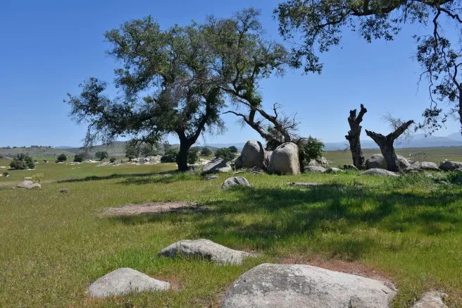 Ramona Grasslands Preserve