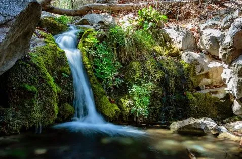 Ramsey Canyon Preserve (The Nature Conservancy)