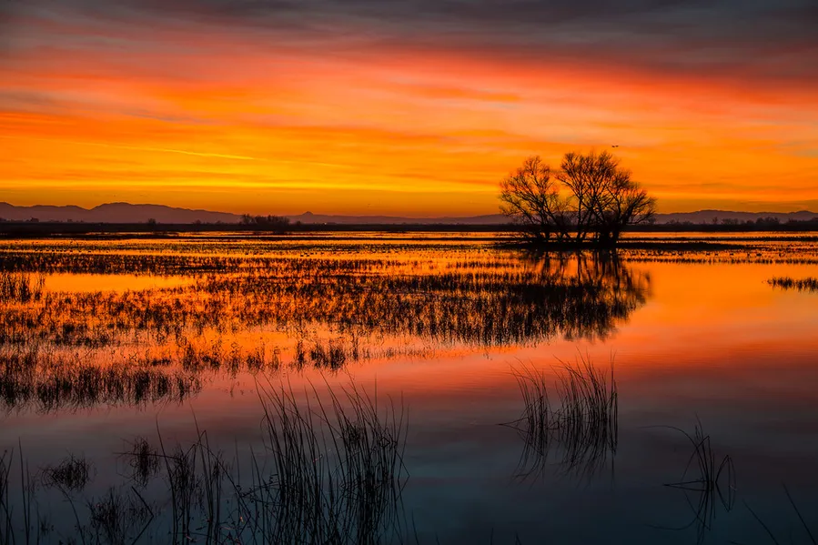 Rancho La Merced National Wildlife Refuge