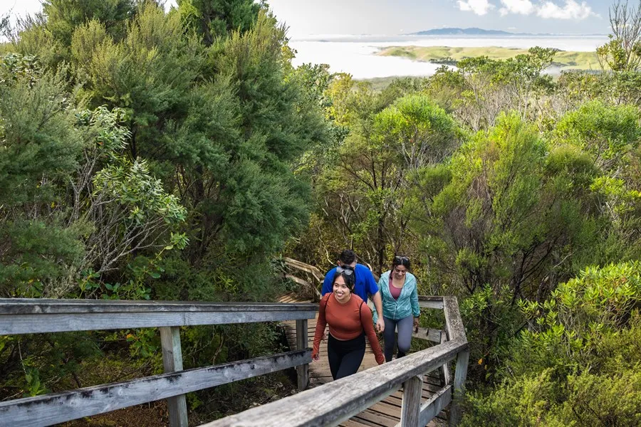 Rangitoto Island