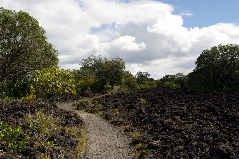 Rangitoto Summit Track