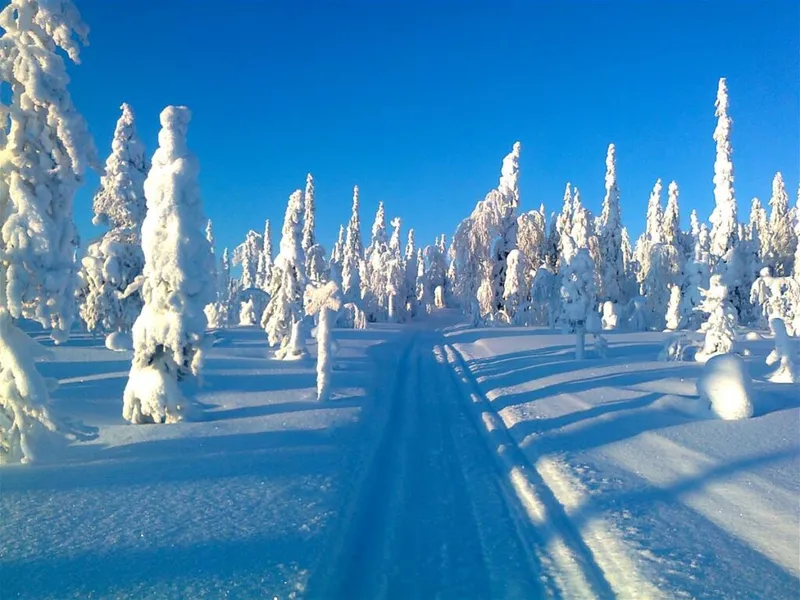 Ranua Snowmobile Park