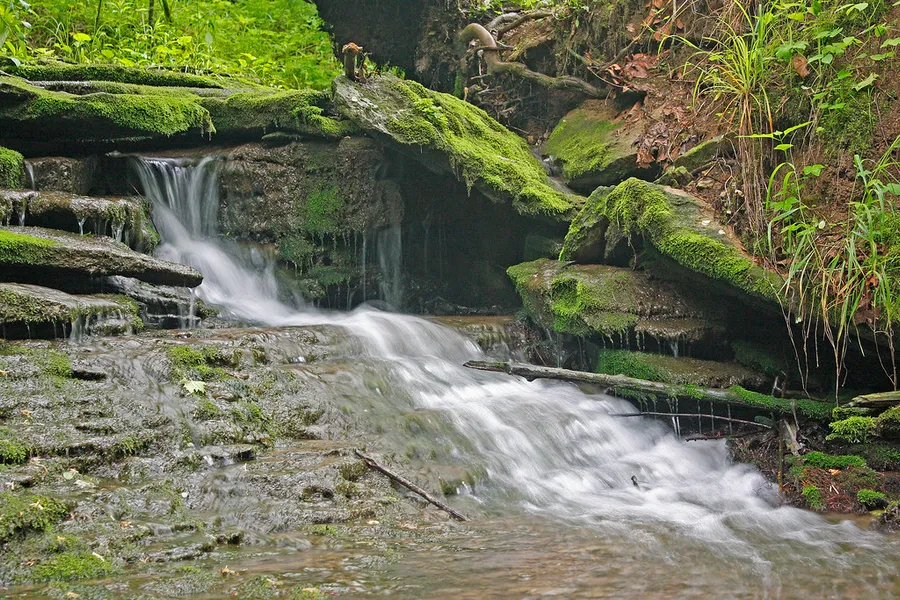 Raven Run Sanctuary