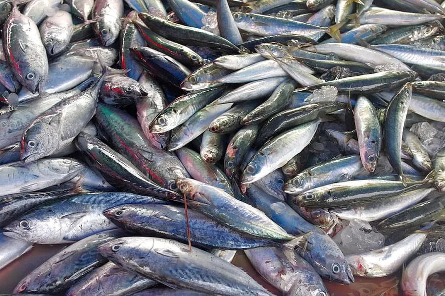 Rawai Fish Market
