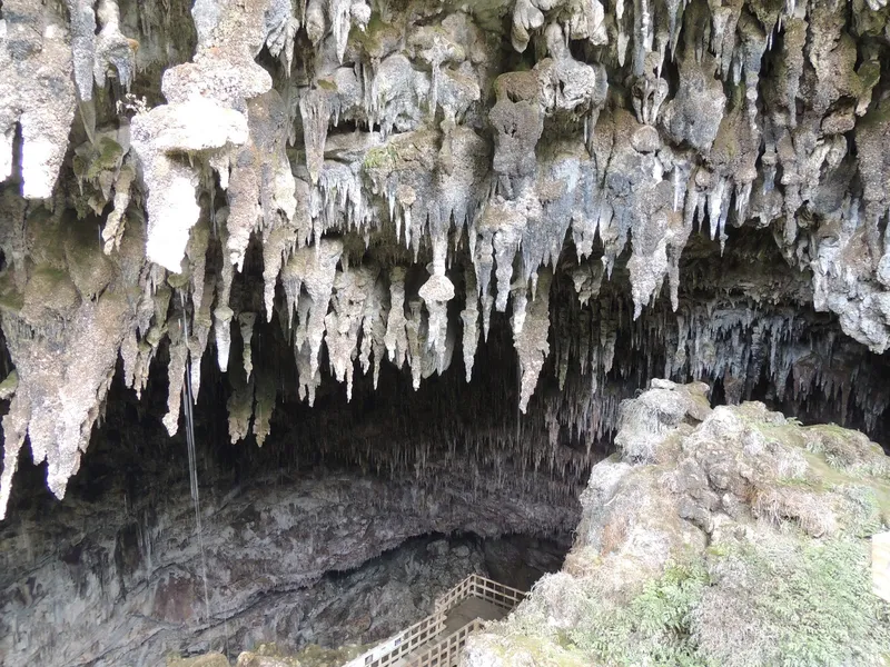 Rawhiti Cave (Honeycomb Hill Caves)