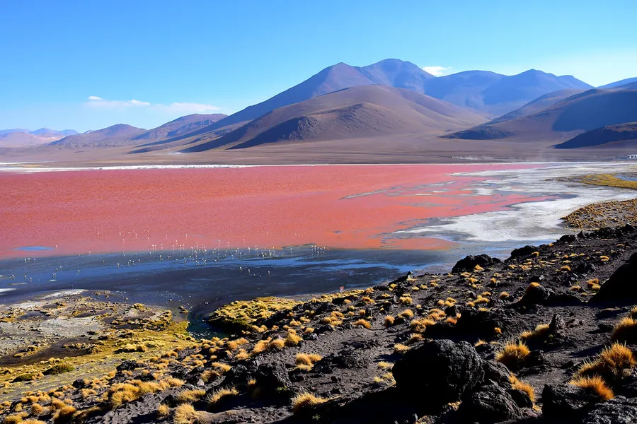 Red Lagoon (Laguna Colorada)