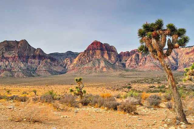 Red Rock Wilderness Overlook Regional Park