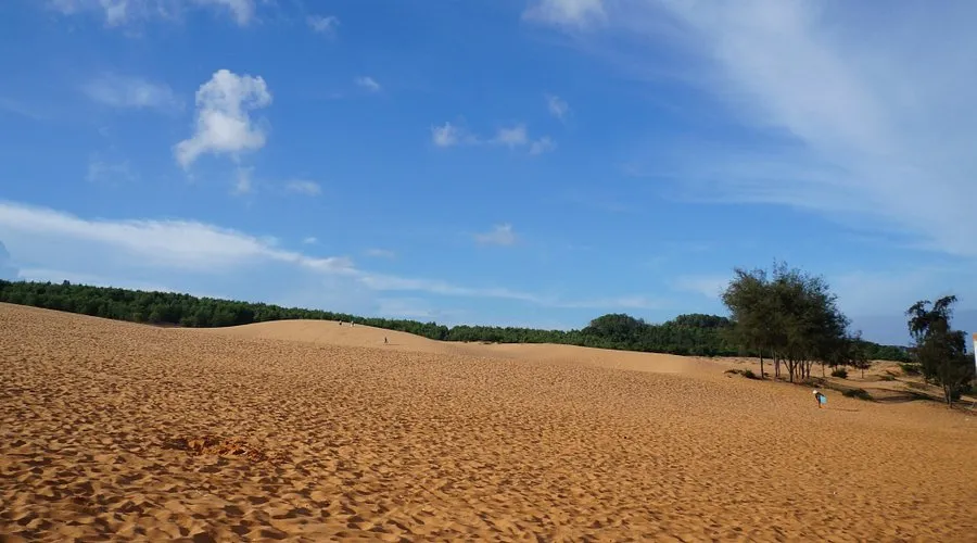 Red Sand Dunes