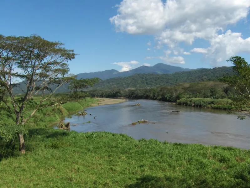 Refugio Nacional de Vida Silvestre Camaronal