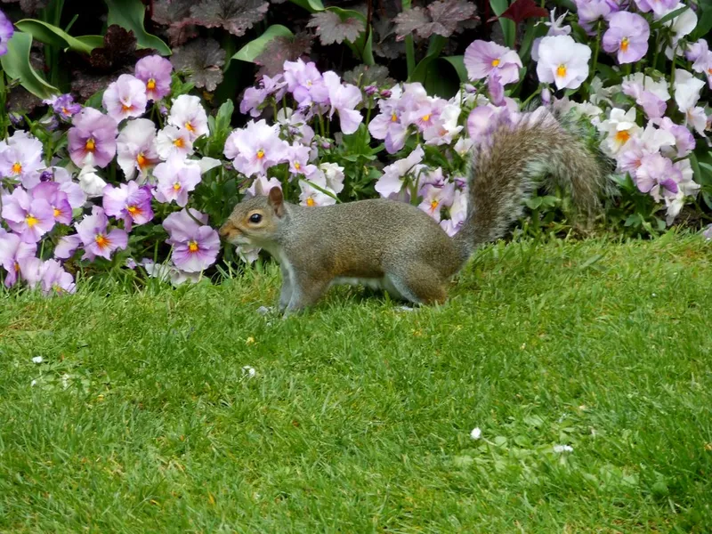 Regent's Park