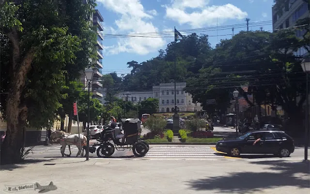 Relógio das Flores