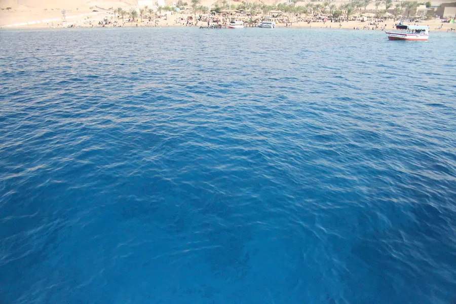 Relax at the beach & Red Sea snorkeling