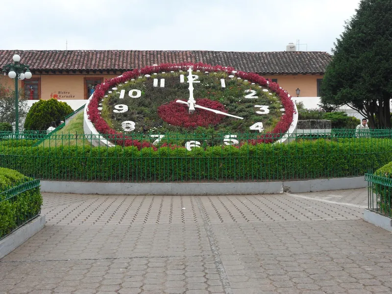 Reloj Floral