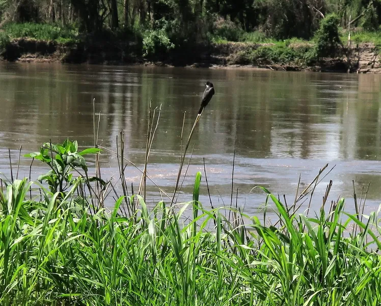 Remington Nature Center