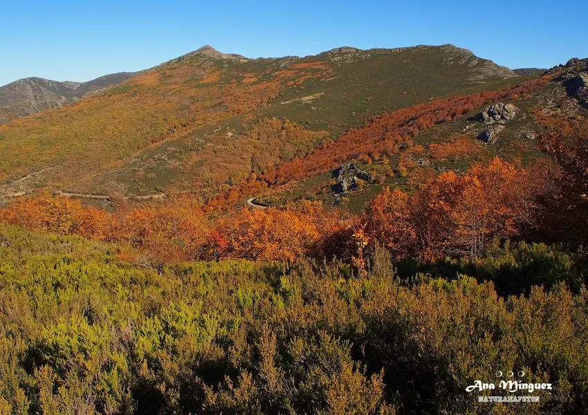 Reserva Ecológica Cerro de Hayas (near Jipijapa)